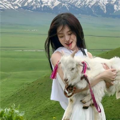 律政新人王2国语